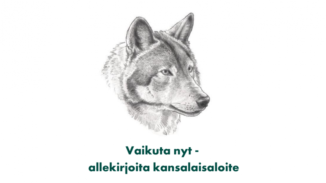 Kansalaisaloite Suden Kannanhoidollisen Metsästyksen Aloittamisesta Ja ...